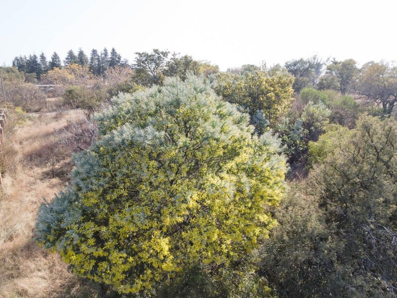 1 hectare plot within secure private estate - 2 kms from pretoria - Photo 6