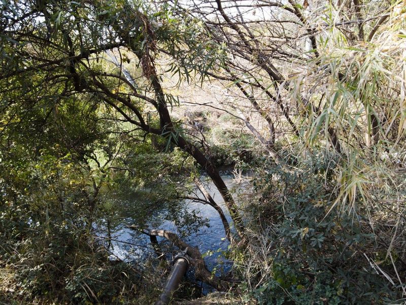 1 hectare plot within secure private estate - 2 kms from pretoria - Photo 8