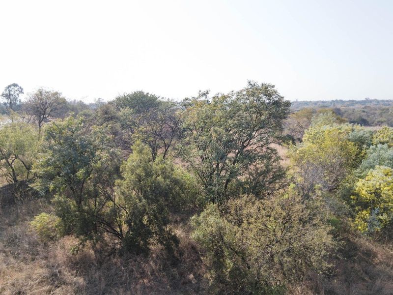 1 hectare plot within secure private estate - 2 kms from pretoria - Photo 3