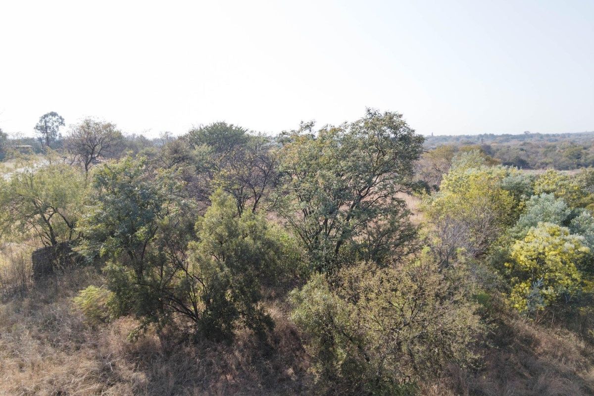 1 hectare plot within secure private estate - 2 kms from pretoria - Photo 3