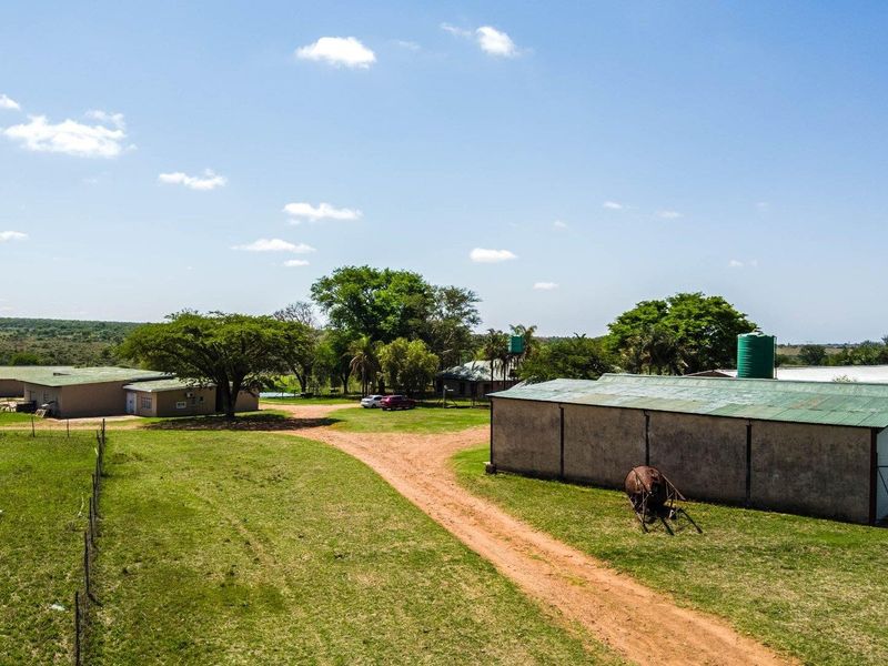 Lucrative well developed farm close to pretoria - Photo 8