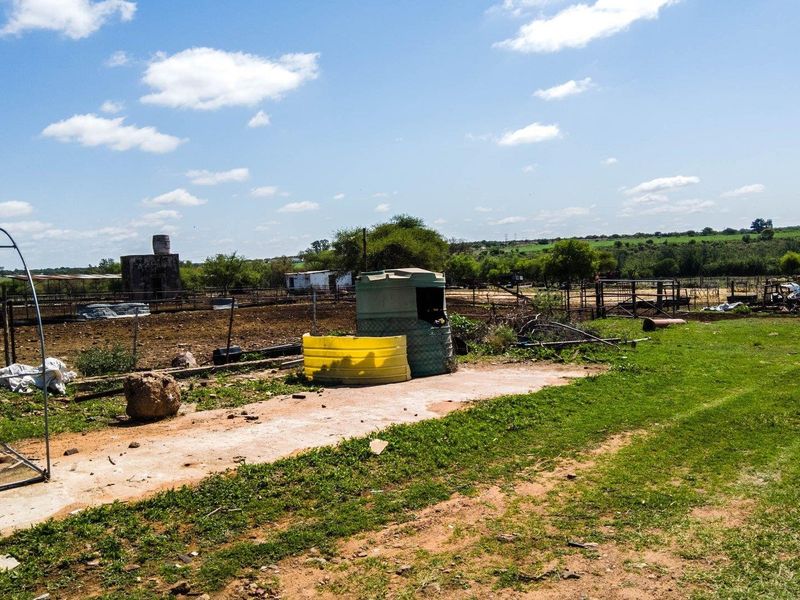 Lucrative well developed farm close to pretoria - Photo 7