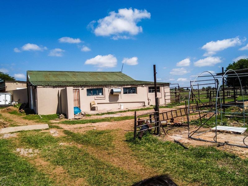 Lucrative well developed farm close to pretoria - Photo 6