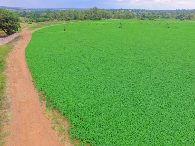 Lucrative investment opportunity - 128 hectare fertile agricultural land - Photo 7