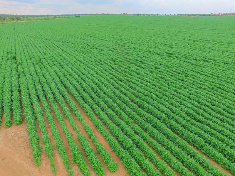 Lucrative investment opportunity - 128 hectare fertile agricultural land - Photo 6
