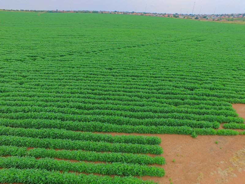Lucrative investment opportunity - 128 hectare fertile agricultural land - Photo 5