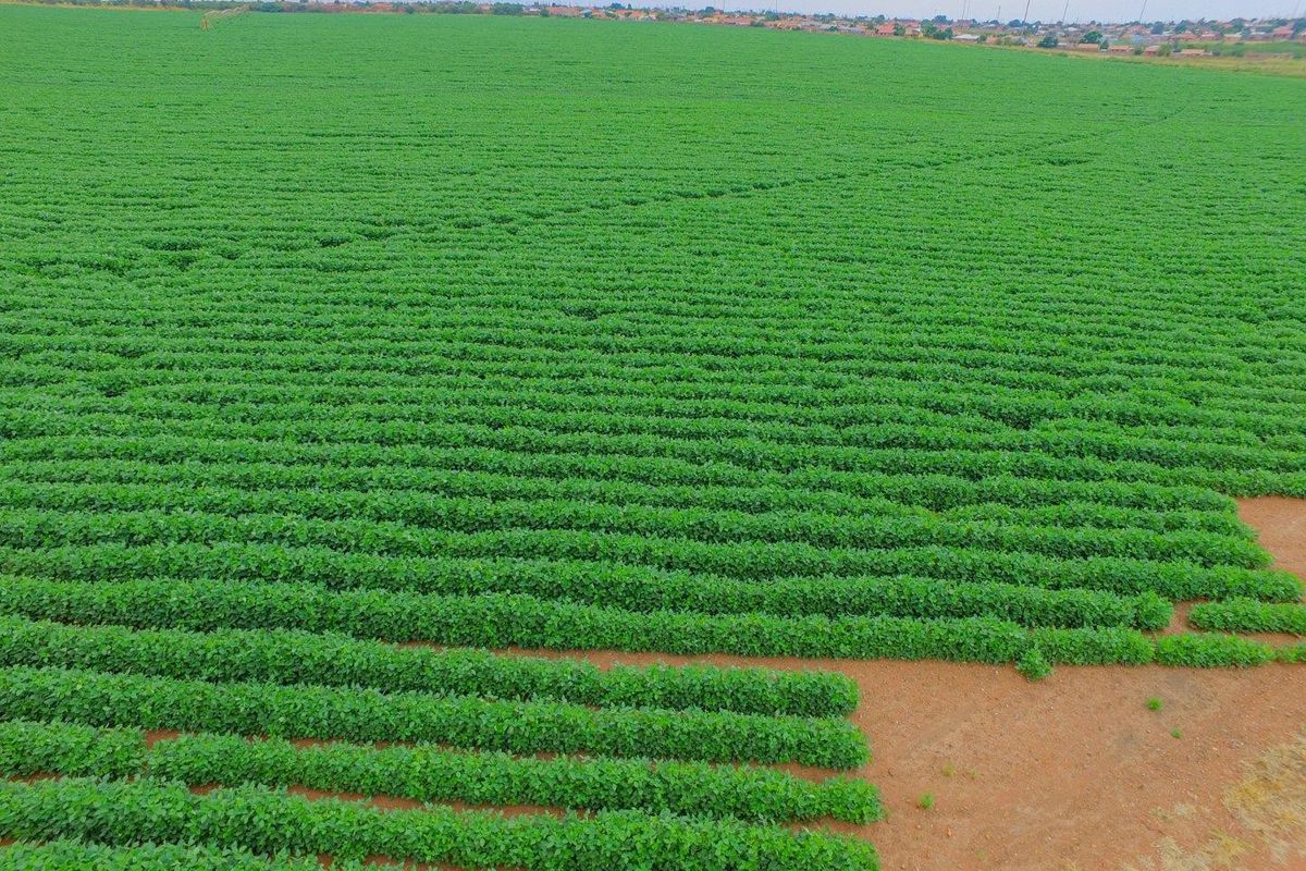 Lucrative investment opportunity - 128 hectare fertile agricultural land - Photo 5
