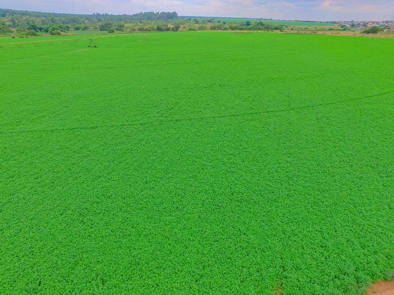Lucrative investment opportunity - 128 hectare fertile agricultural land - Photo 4