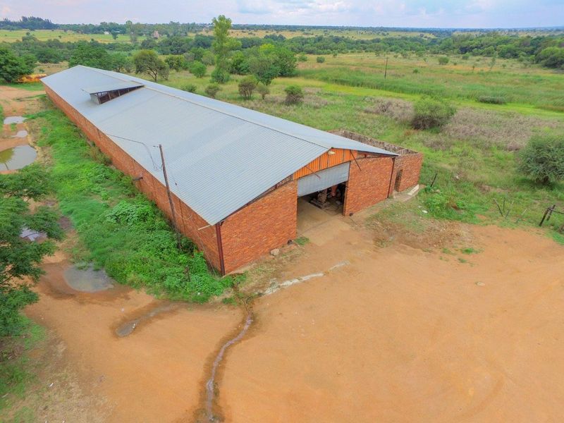 Lucrative investment opportunity - 128 hectare fertile agricultural land - Photo 3