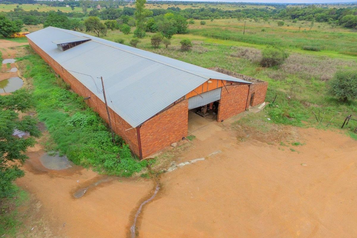 Lucrative investment opportunity - 128 hectare fertile agricultural land - Photo 3