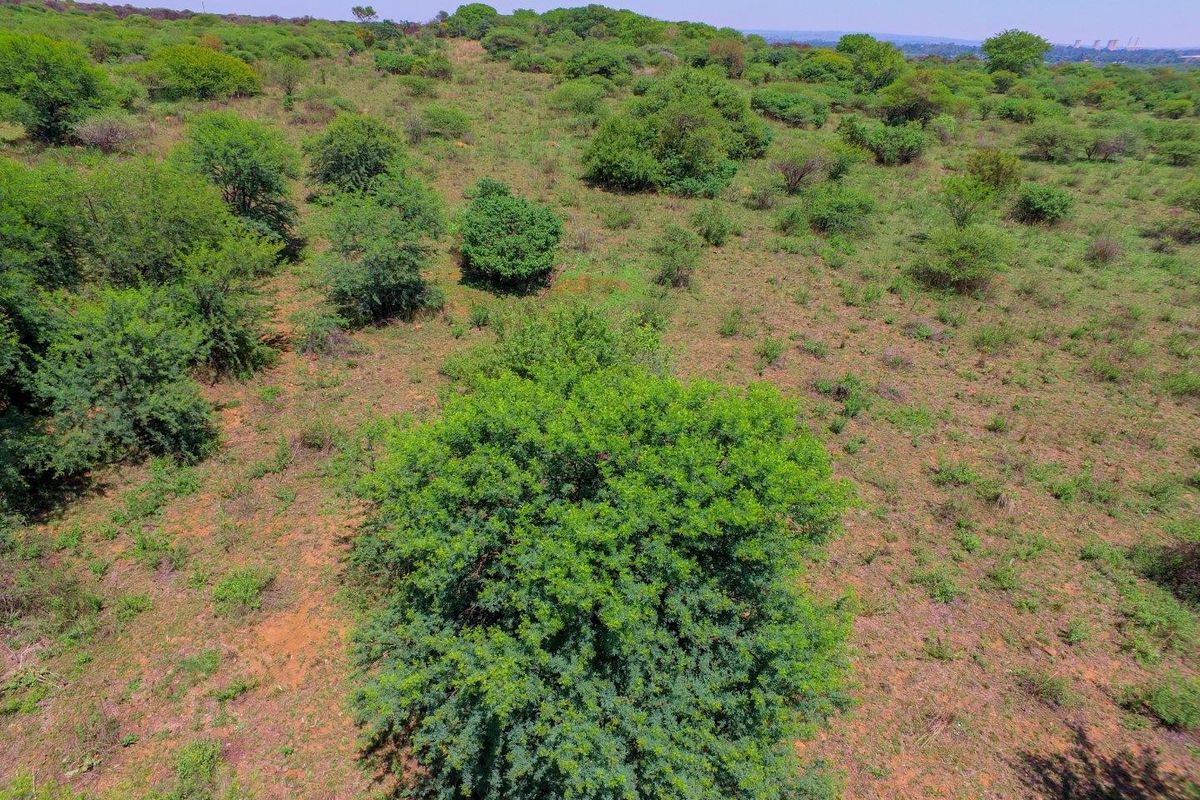 9.79 hectare (sub-divided into nine plots) - zoned for commercial and light industrial - Photo 5