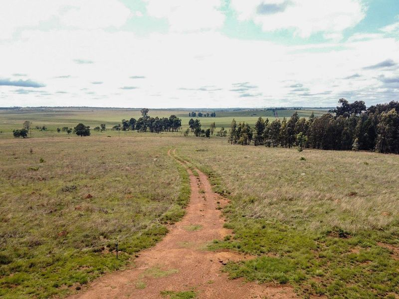 723 hectare lucrative farmland on garsfonteinweg - Photo 2