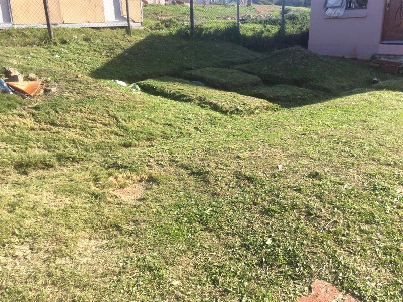 A backyard area featuring a sloped lawn and perimeter chain-link fencing, requiring landscaping and ground leveling to improve the outdoor space.