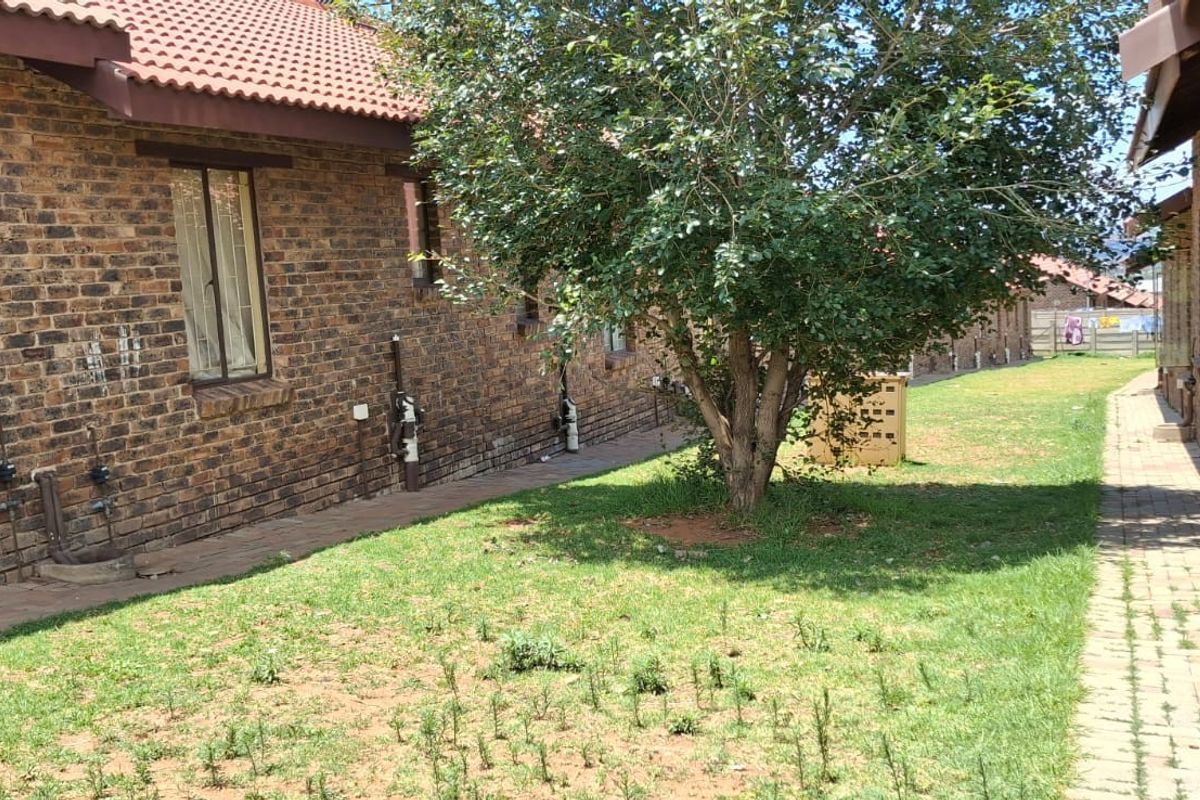A view of the exterior rear garden area featuring face-brick walls, paved walkways, and established trees between apartment units.