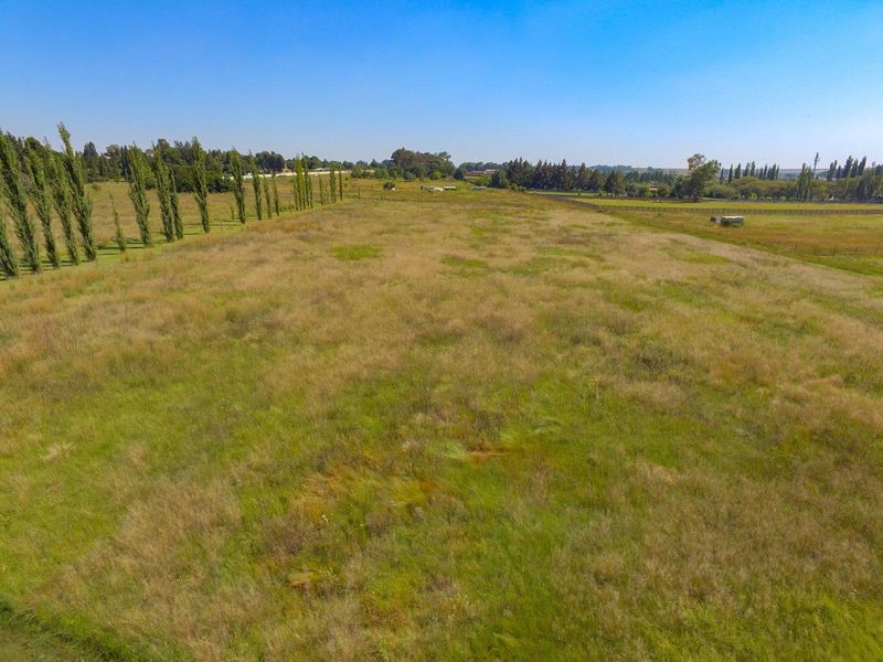 Large level plot in bredell development path - Photo 6