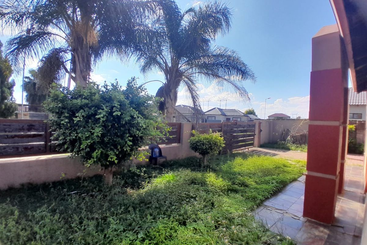 A view of the rear garden area featuring established palm trees, a tiled patio edge, and perimeter boundary fencing.