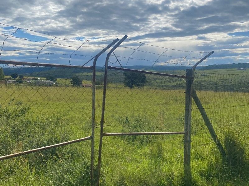Vacant Land For Sale in Zazulwana A, Butterworth Rural, Butterworth - Photo 5