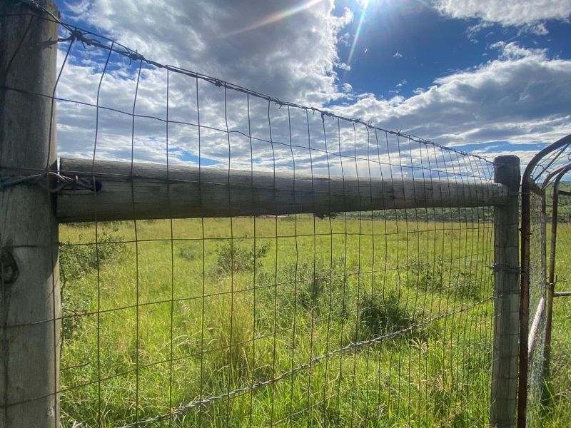 Vacant Land For Sale in Zazulwana A, Butterworth Rural, Butterworth - Photo 4
