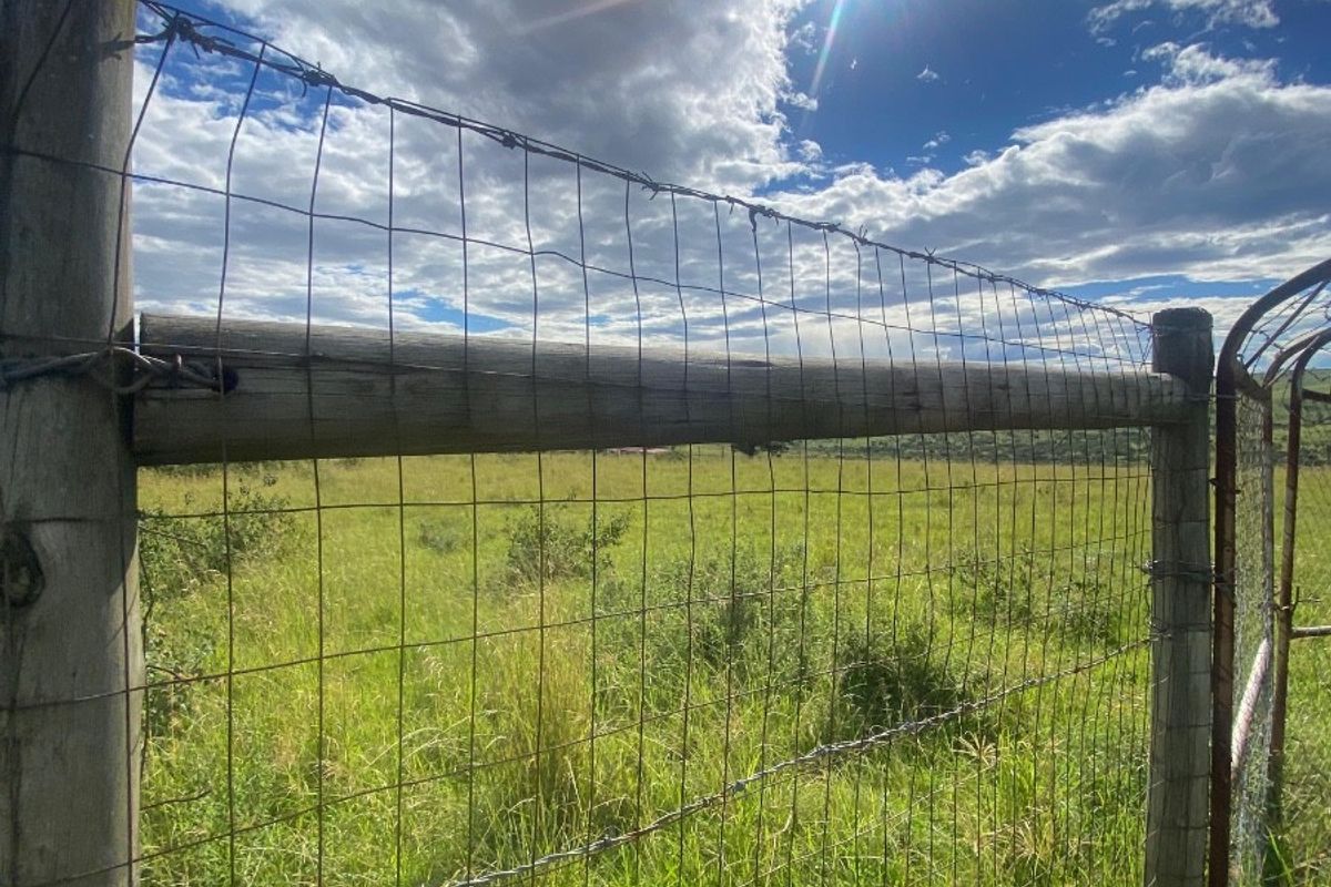 Vacant Land For Sale in Zazulwana A, Butterworth Rural, Butterworth - Photo 4