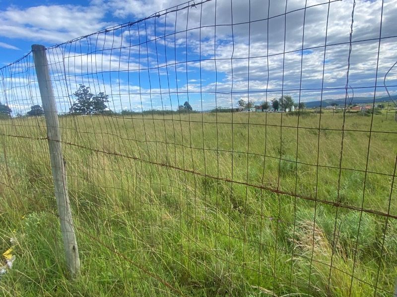Vacant Land For Sale in Zazulwana A, Butterworth Rural, Butterworth - Photo 6