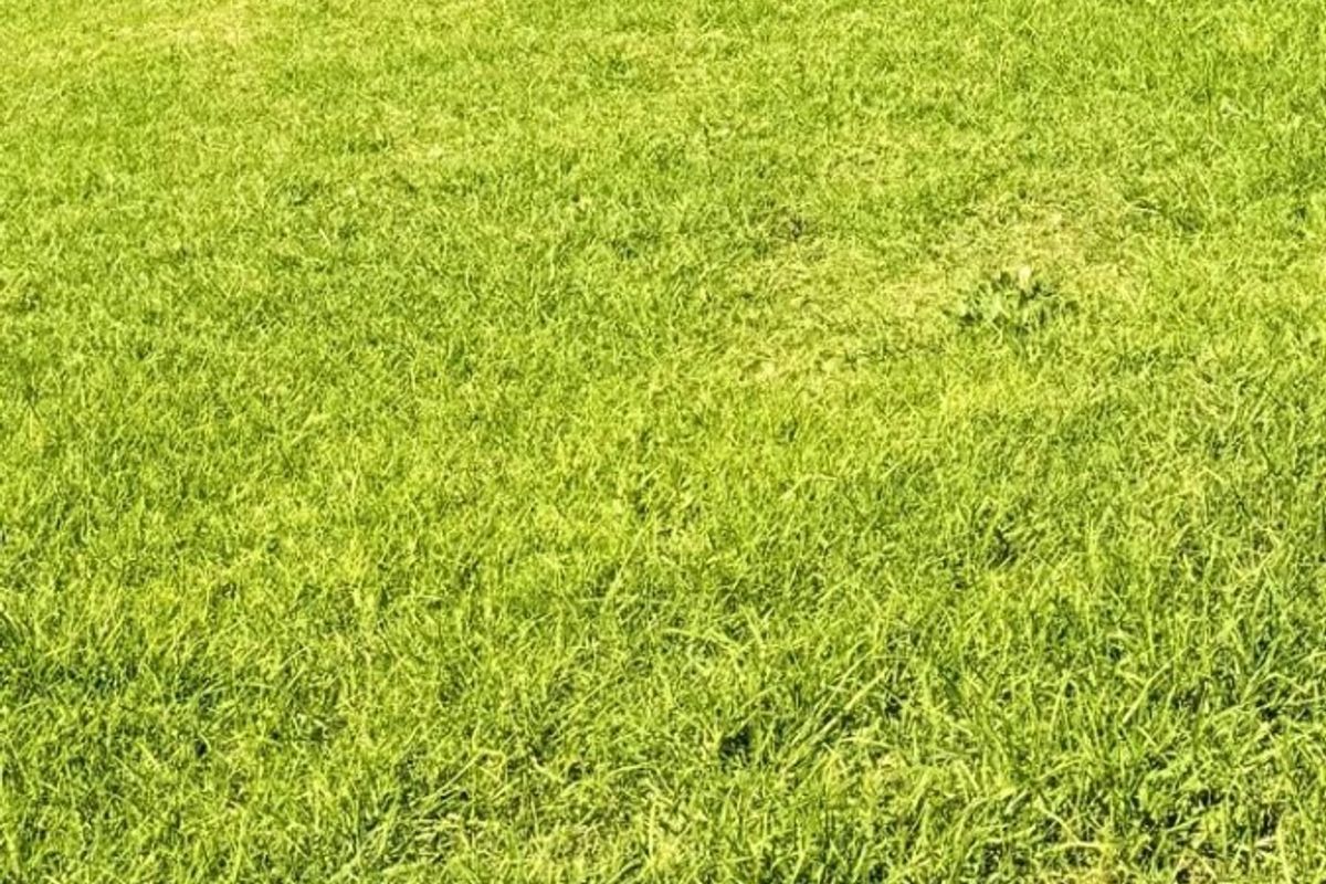 Vacant Land For Sale in Vulintaba Country Estate, Newcastle, KwaZulu Natal - Photo 4