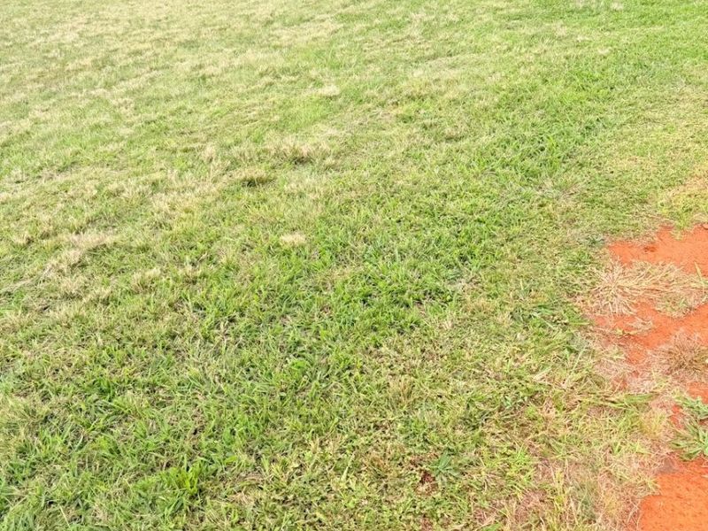 A view of a vacant residential plot featuring established grass coverage and surrounding residential properties in a developed neighborhood.