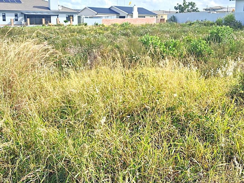 Vacant Land For Sale in Fountains Estate, Jeffreys Bay - Build Your Ideal Coastal Home - Photo 3