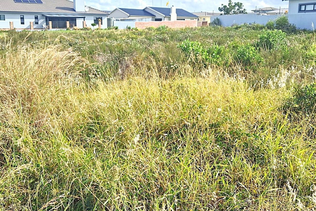 Vacant Land For Sale in Fountains Estate, Jeffreys Bay - Build Your Ideal Coastal Home - Photo 3