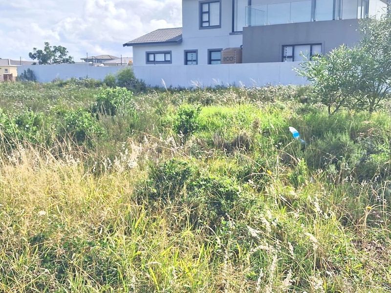 Vacant Land For Sale in Fountains Estate, Jeffreys Bay - Build Your Ideal Coastal Home - Photo 2