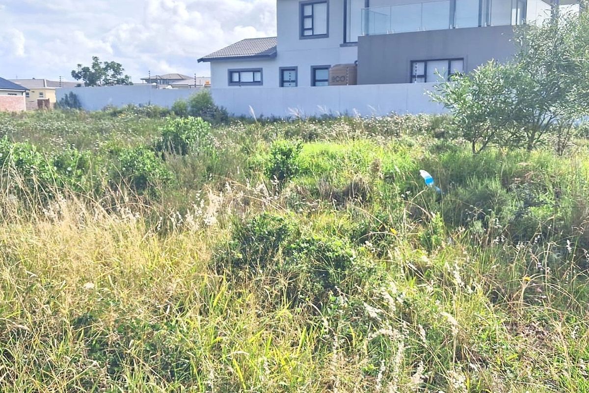 Vacant Land For Sale in Fountains Estate, Jeffreys Bay - Build Your Ideal Coastal Home - Photo 2