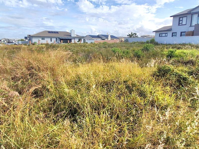 Vacant Land For Sale in Fountains Estate, Jeffreys Bay - Build Your Ideal Coastal Home - Photo 4