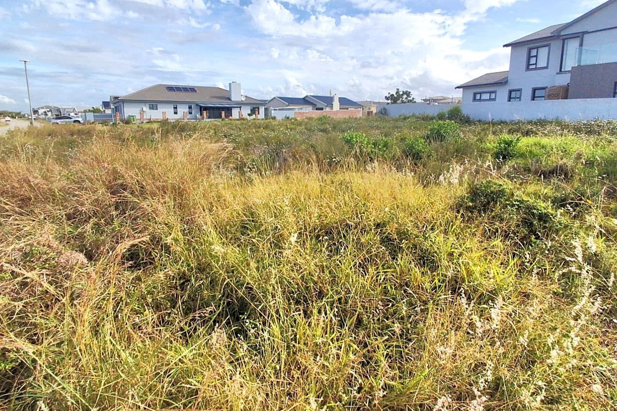 Vacant Land For Sale in Fountains Estate, Jeffreys Bay - Build Your Ideal Coastal Home - Photo 4