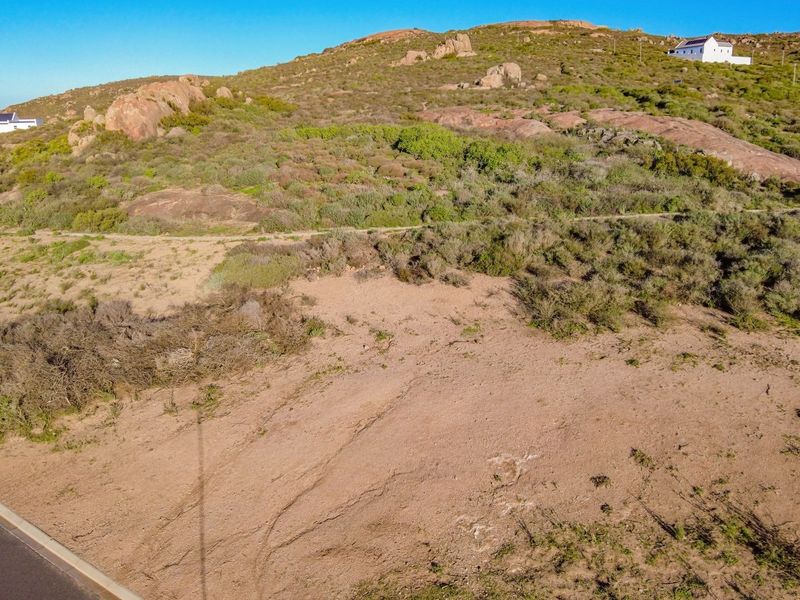 BEST OF THE BEST North Facing and Bordering a greenbelt - Photo 9