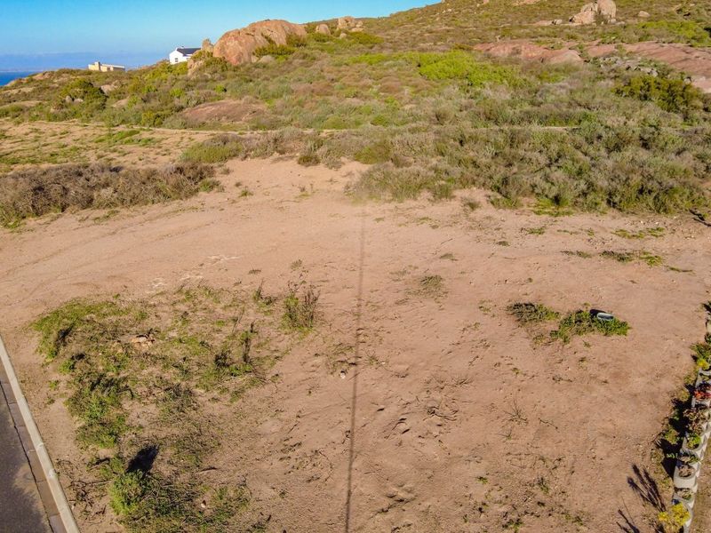 BEST OF THE BEST North Facing and Bordering a greenbelt - Photo 6