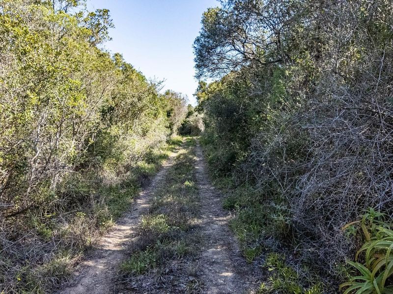 Vacant Land For Sale in Wilderness Rural, Wilderness - Photo 3
