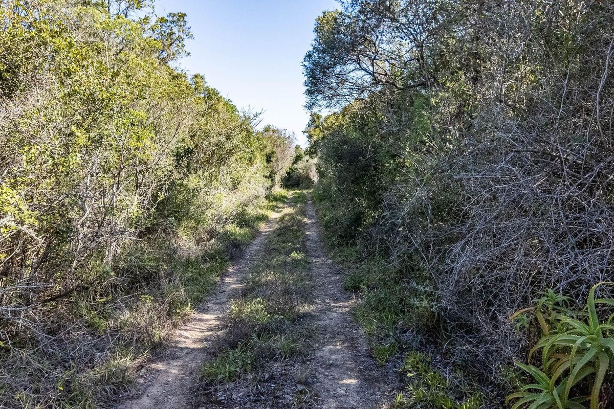 Vacant Land For Sale in Wilderness Rural, Wilderness - Photo 3