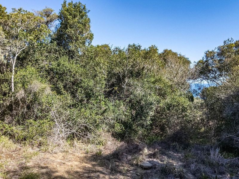 Vacant Land For Sale in Wilderness Rural, Wilderness - Photo 7
