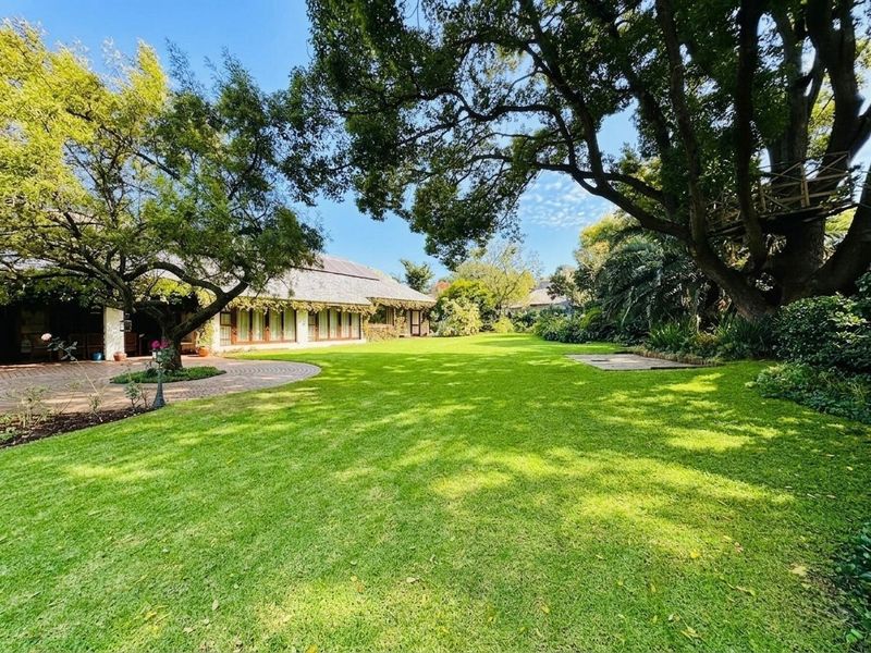 Beautifully appointed family home with huge garden Oasis, in the leafy suburbs of Birdhaven. - Photo 5