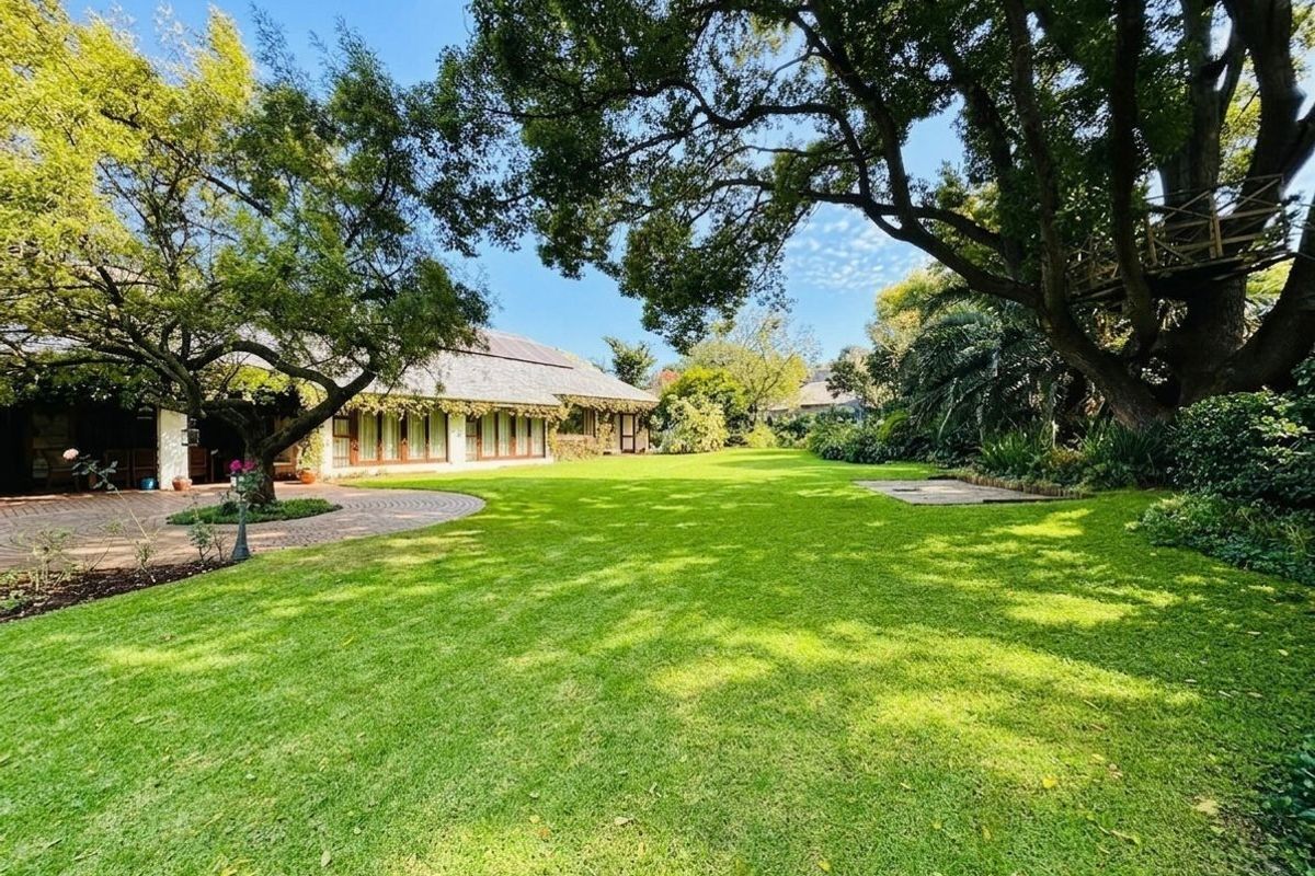 Beautifully appointed family home with huge garden Oasis, in the leafy suburbs of Birdhaven. - Photo 5