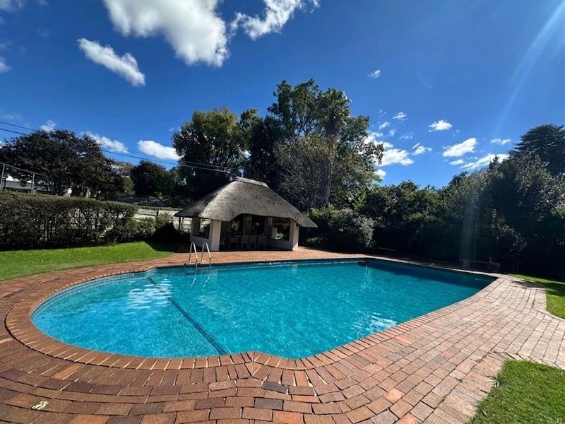 Beautifully appointed family home with huge garden Oasis, in the leafy suburbs of Birdhaven. - Photo 8