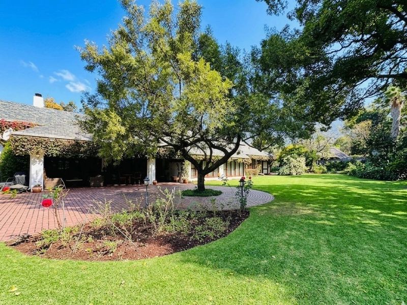 Beautifully appointed family home with huge garden Oasis, in the leafy suburbs of Birdhaven. - Photo 7
