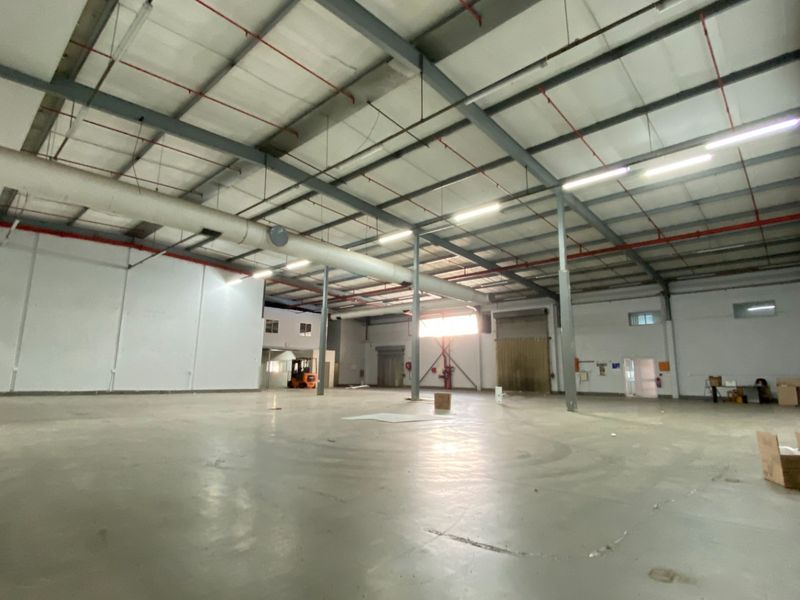 2,338m2 Cold Storage Warehouse To Let in Epping Industrial, Cape Town - Photo 10