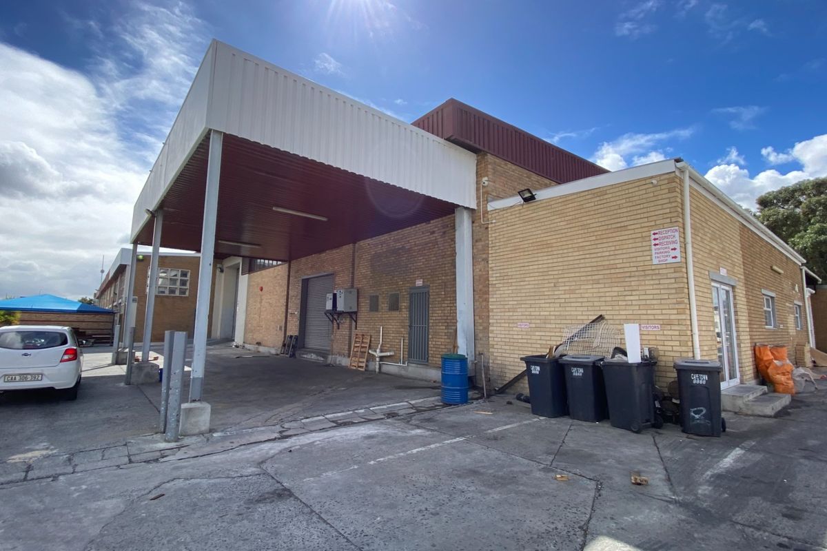 2,338m2 Cold Storage Warehouse To Let in Epping Industrial, Cape Town - Photo 3