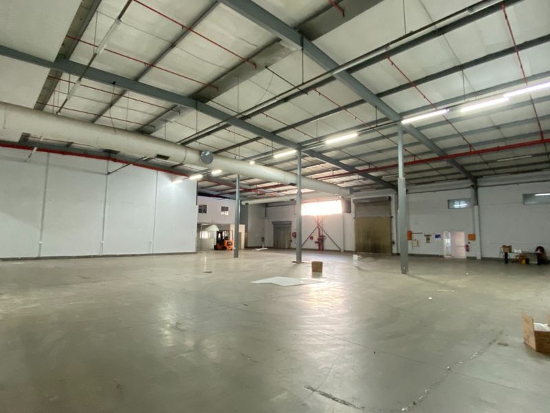 2,338m2 Cold Storage Warehouse To Let in Epping Industrial, Cape Town - Photo 8