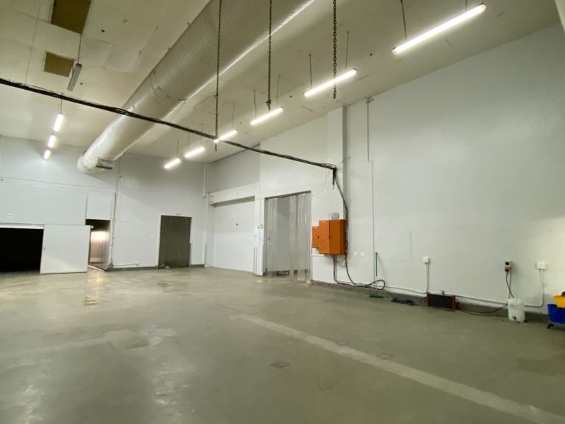 2,338m2 Cold Storage Warehouse To Let in Epping Industrial, Cape Town - Photo 6