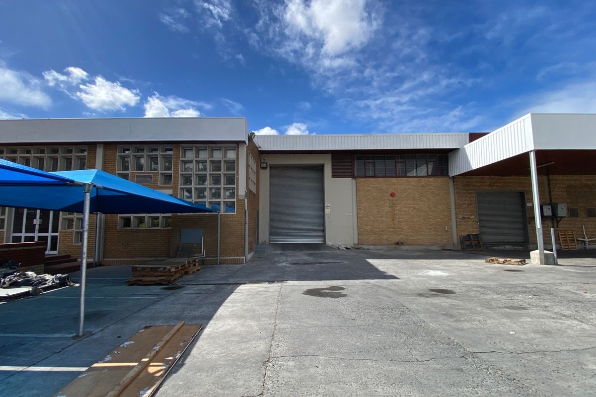 2,338m2 Cold Storage Warehouse To Let in Epping Industrial, Cape Town - Photo 5