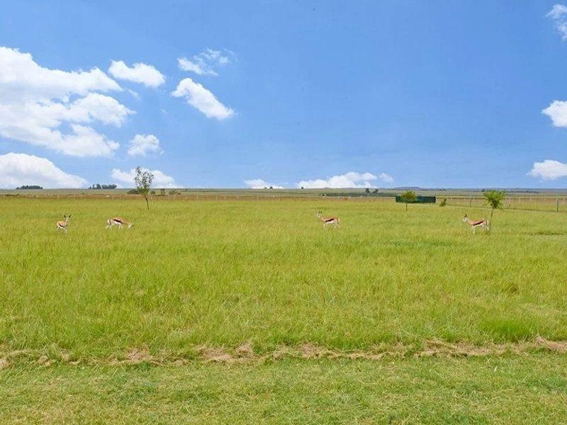 A Rare Country Estate Offering Freedom, Luxury and Limitless Possibility - Photo 6