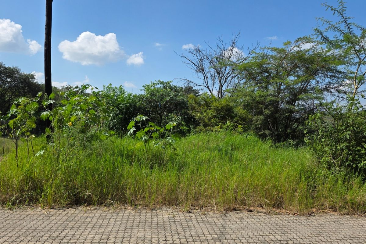 Prime Vacant Stand in a Well-Located Part of Hazyview - Photo 3