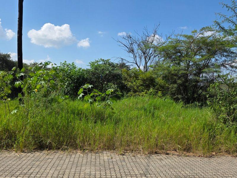 A view of a vacant residential plot featuring established trees, natural vegetation, and a paved street frontage.