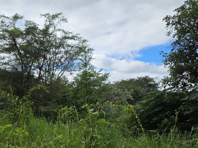 A view of a vacant residential plot featuring established trees and natural vegetation under a cloudy sky.